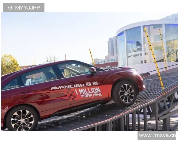 杭州滑板队以96分领跑城市马拉松积分榜展现强劲实力