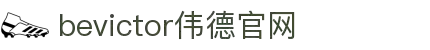 bevictor伟德官网-韦德官方网站"